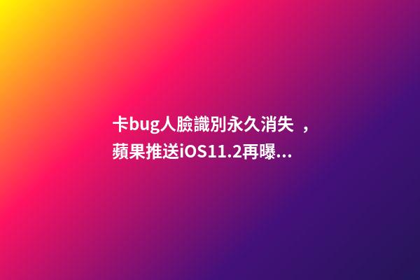 卡bug人臉識別永久消失，蘋果推送iOS11.2再曝新bug-第1張-觀點-玄機派